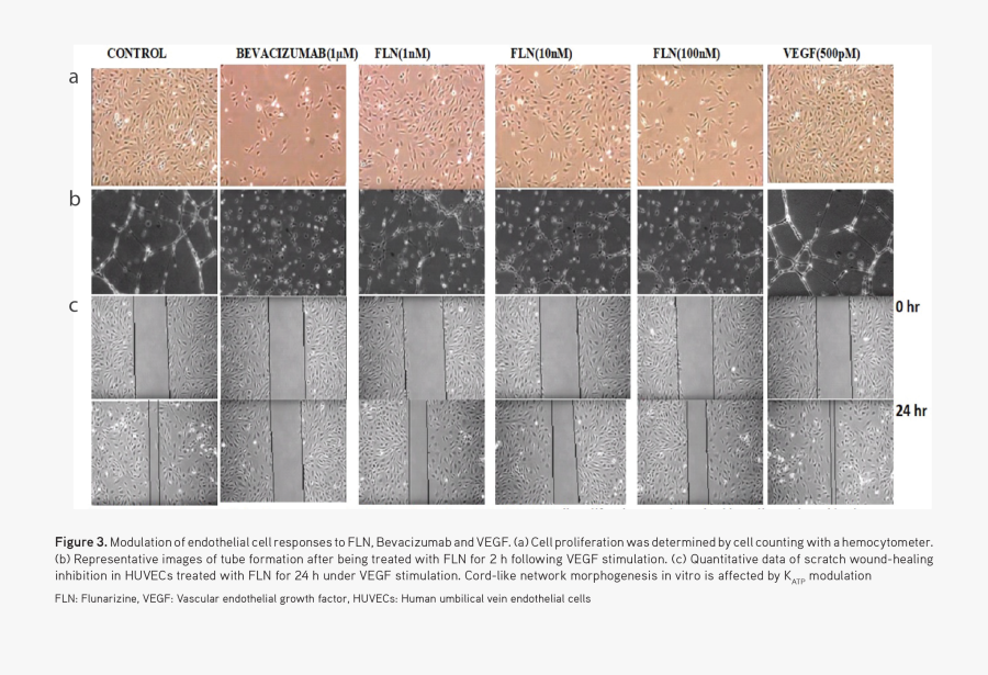 Tile, Transparent Clipart