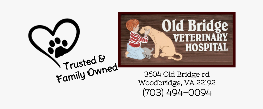 Pug, Transparent Clipart