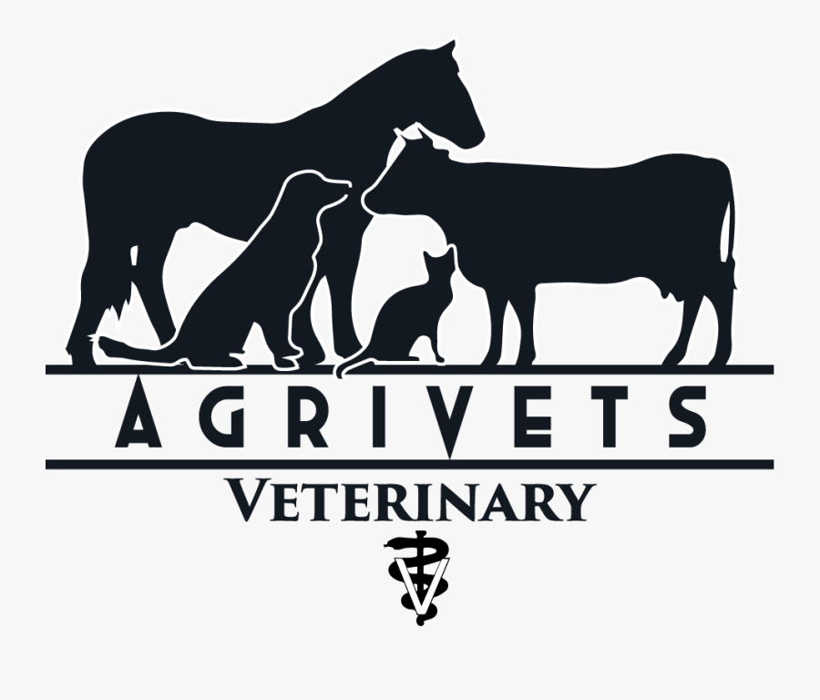 [​img], Transparent Clipart