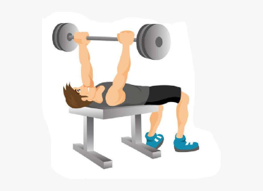 Dumbbells Clipart Weight Bench - Biceps Curl, Transparent Clipart