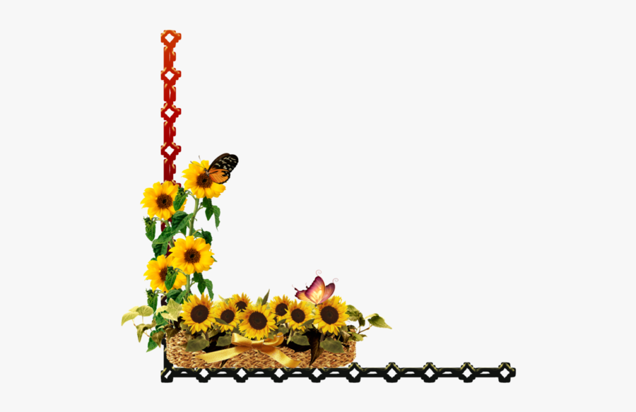 Sunflower, Transparent Clipart
