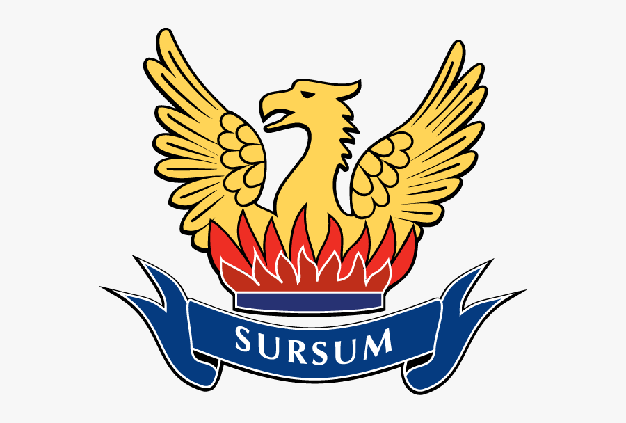 Mt Roskill Grammar School, Transparent Clipart