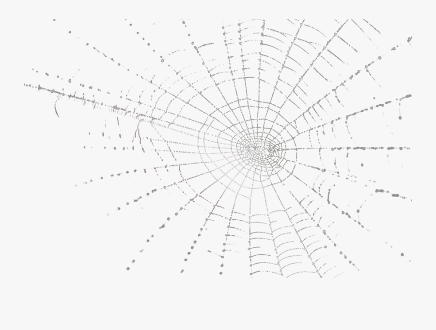 Spider Web Psd, Transparent Clipart