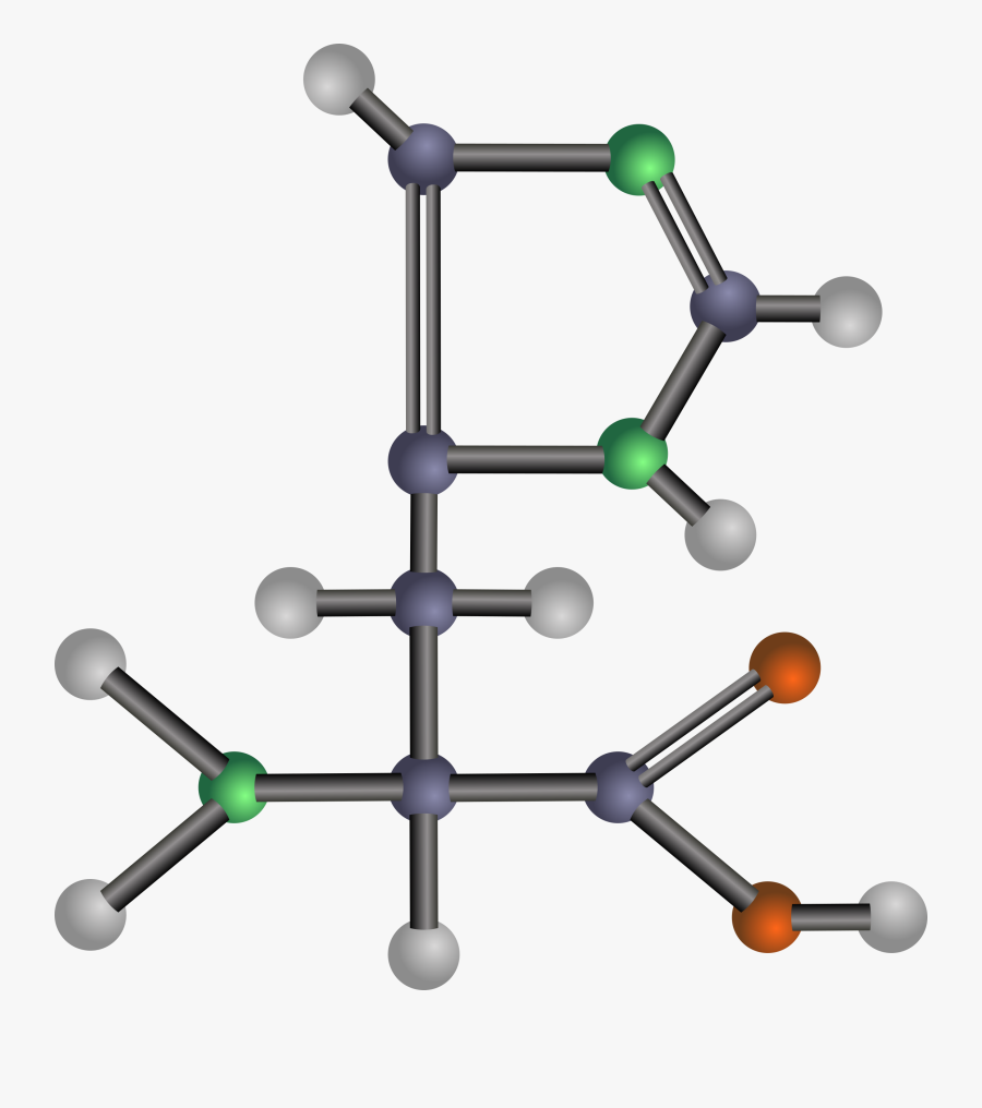 Hydrophobic Amino Acid .png, Transparent Clipart