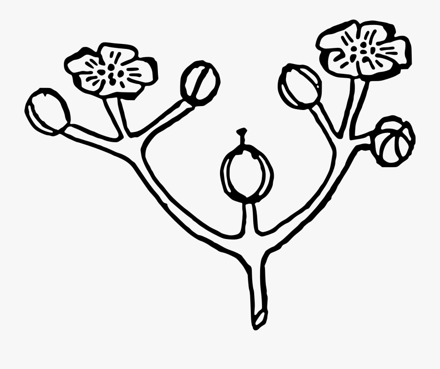 Heart,love,symmetry - Flower Buds Clipart Black And White, Transparent Clipart