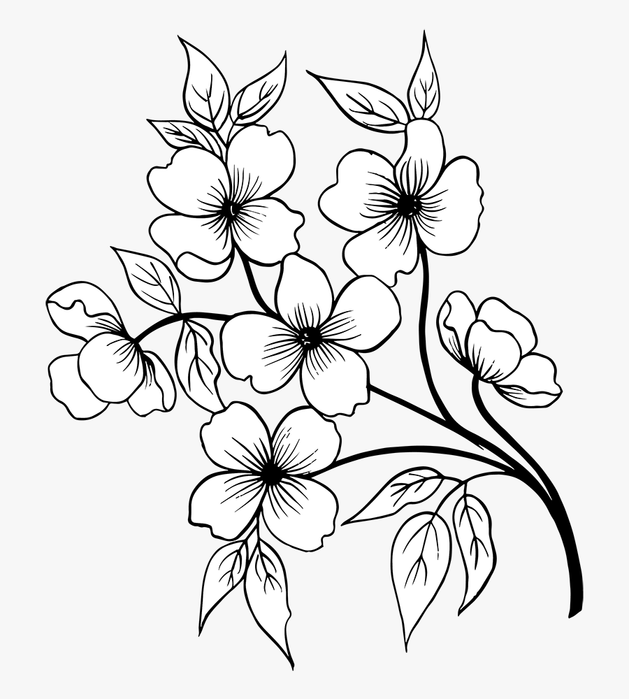 Flower Hand Drawn Png, Transparent Clipart