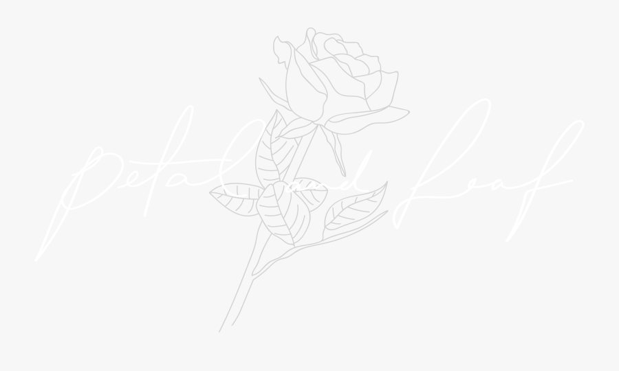 Sketch, Transparent Clipart