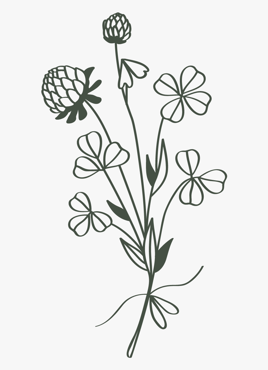 Cec 13 Bouquet Green - Buttercup, Transparent Clipart