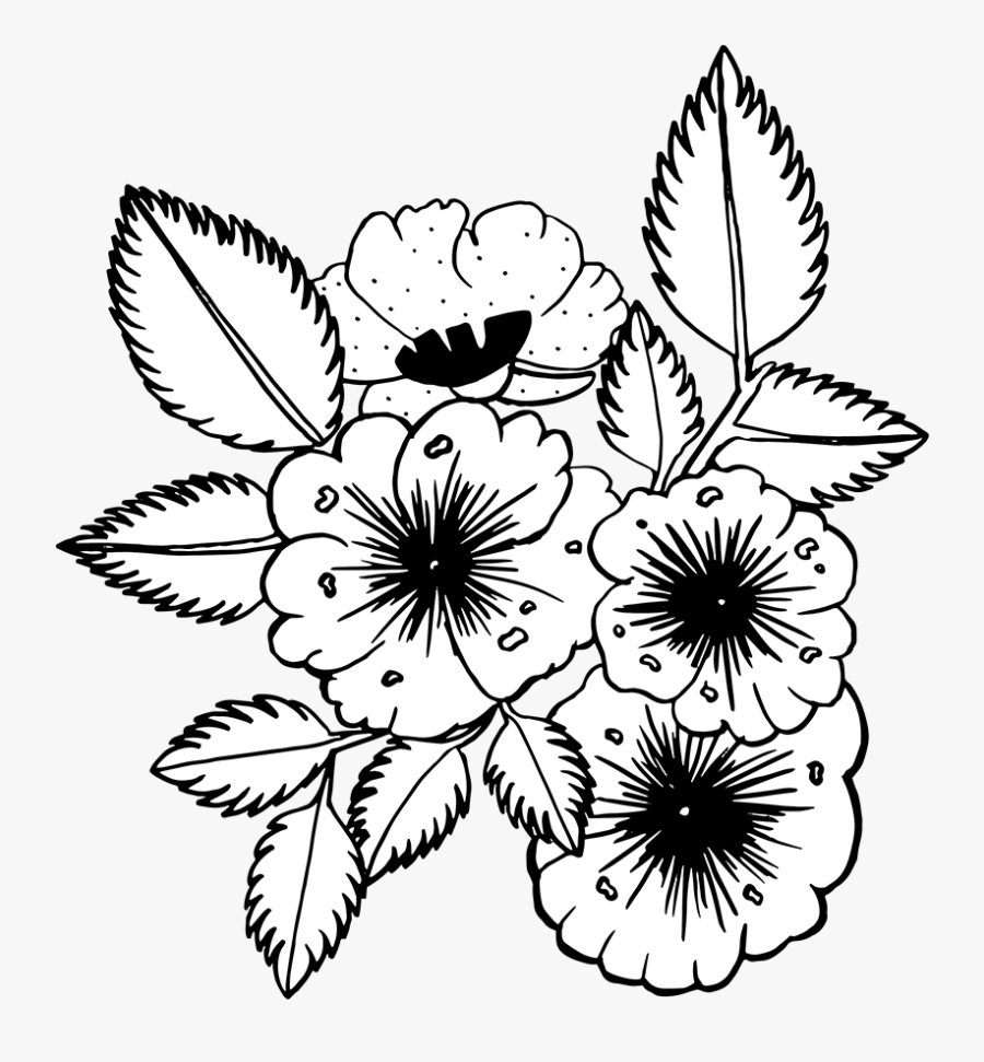 Illustration, Transparent Clipart