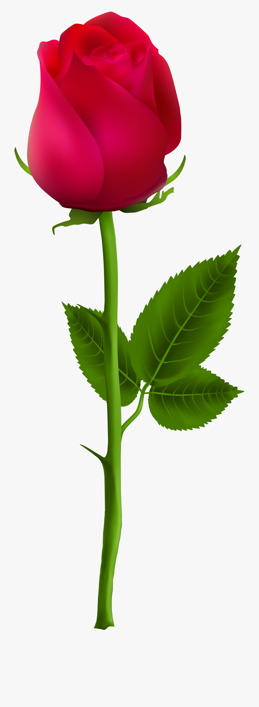 Rose Buds Clip Art, Transparent Clipart