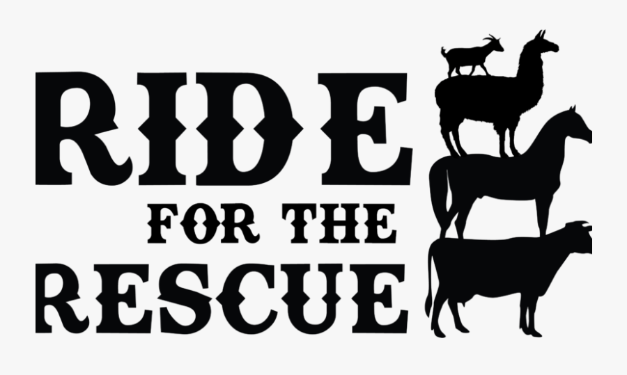 Ride For The Rescue Deadline Is Monday - Arabian Camel, Transparent Clipart