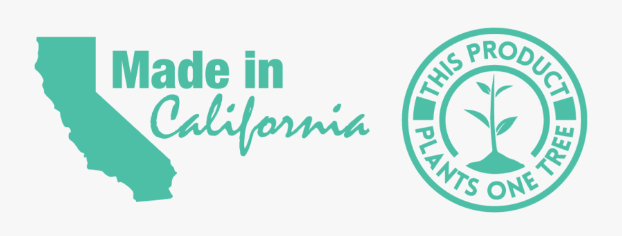 Circle, Transparent Clipart