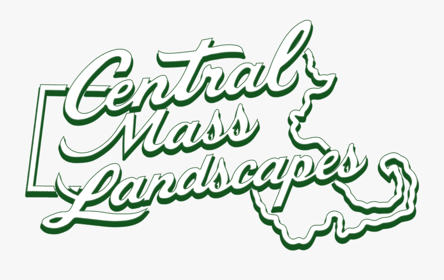 Calligraphy, Transparent Clipart