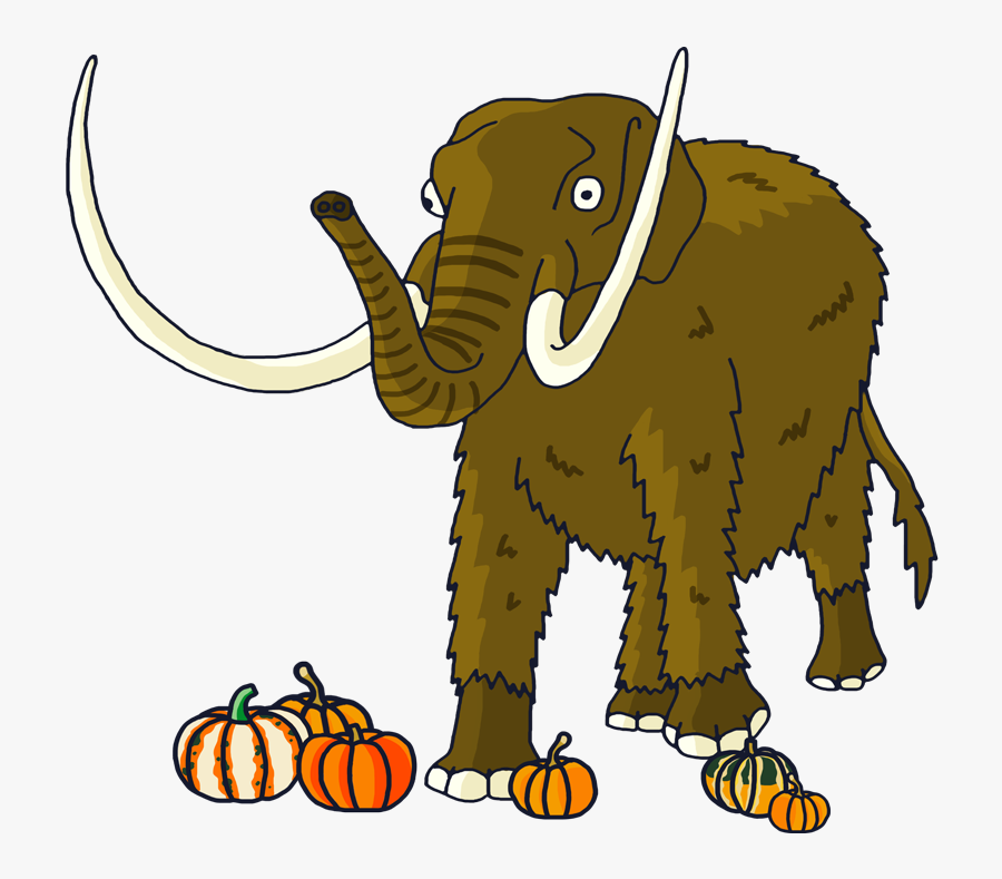 Indian Elephant, Transparent Clipart
