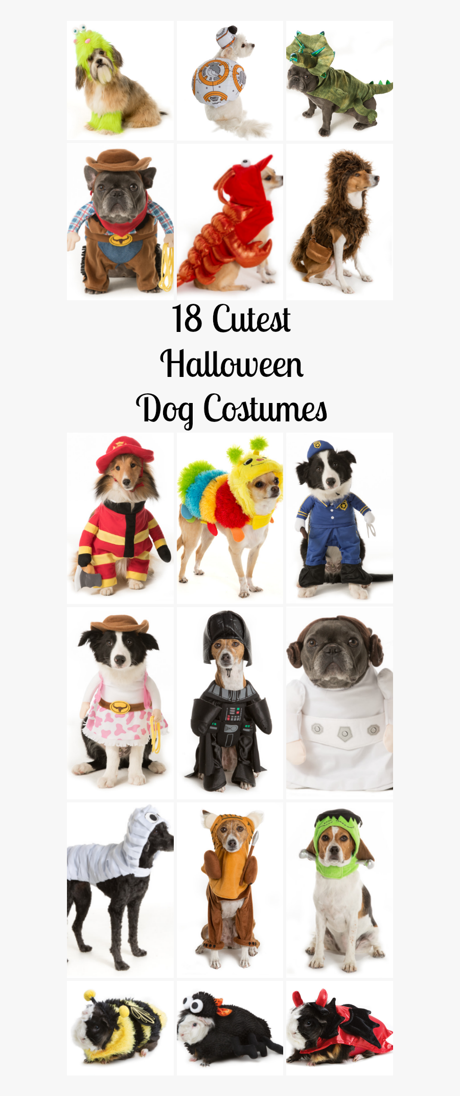Here Is A List Of The 10 Cutest Halloween Dog Costumes - Pug, Transparent Clipart