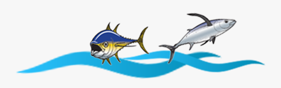 Atlantic Blue Marlin, Transparent Clipart