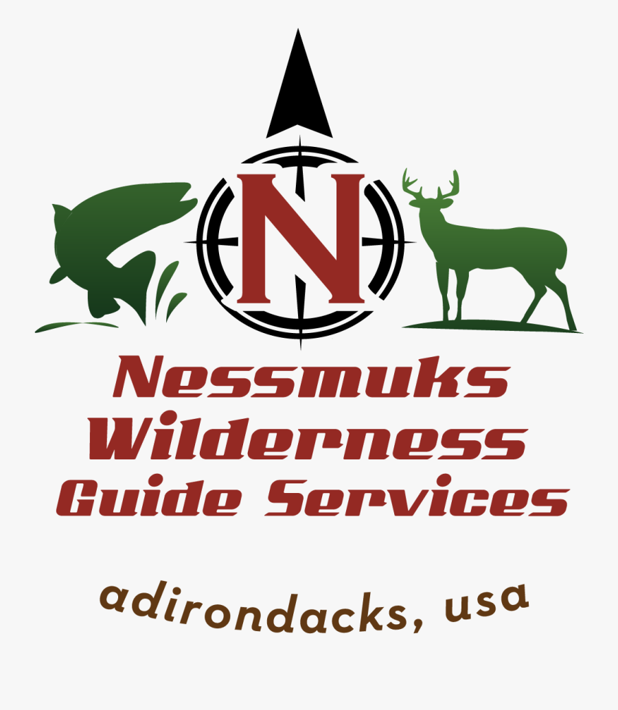 Deer, Transparent Clipart