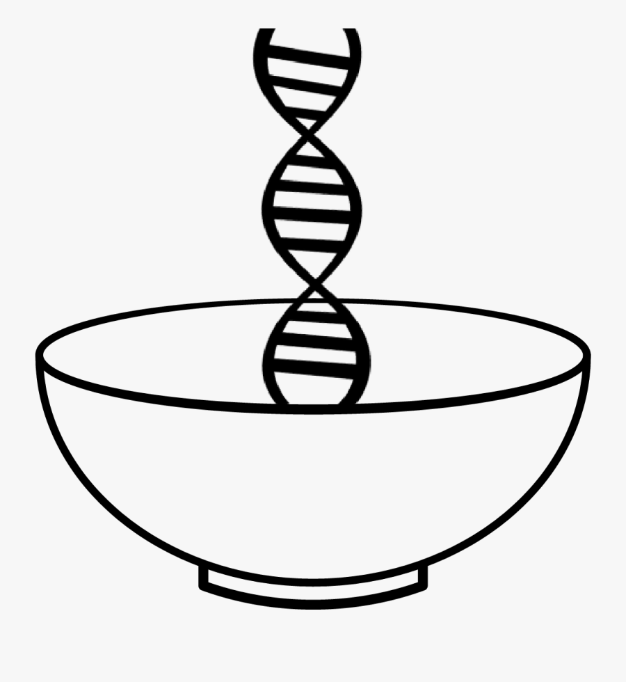 We Are More Than Our Brains Clipart , Png Download - Biotechnology Images For Project, Transparent Clipart