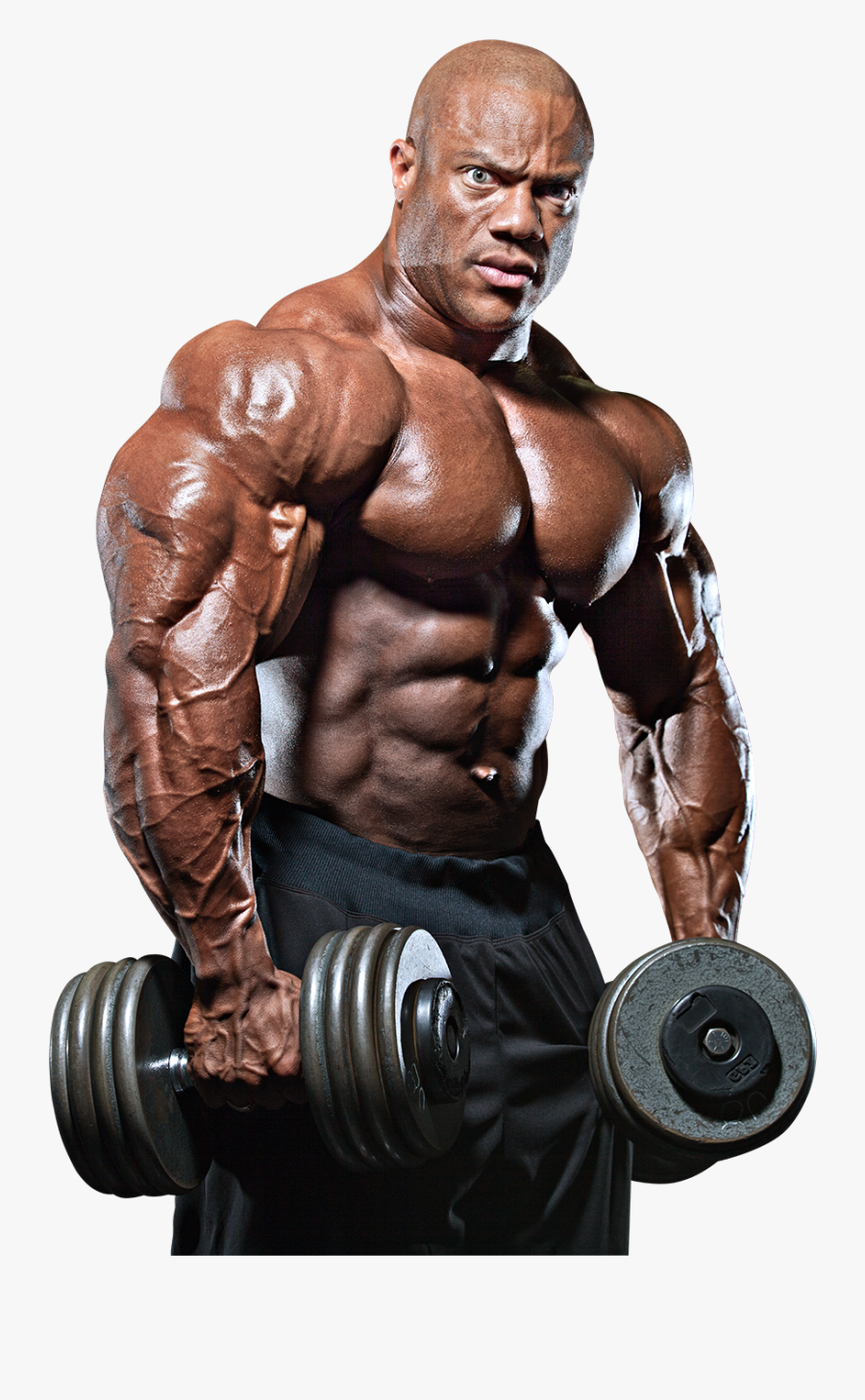 Bodybuilding Clipart Heath - Body Builder Images Png, Transparent Clipart