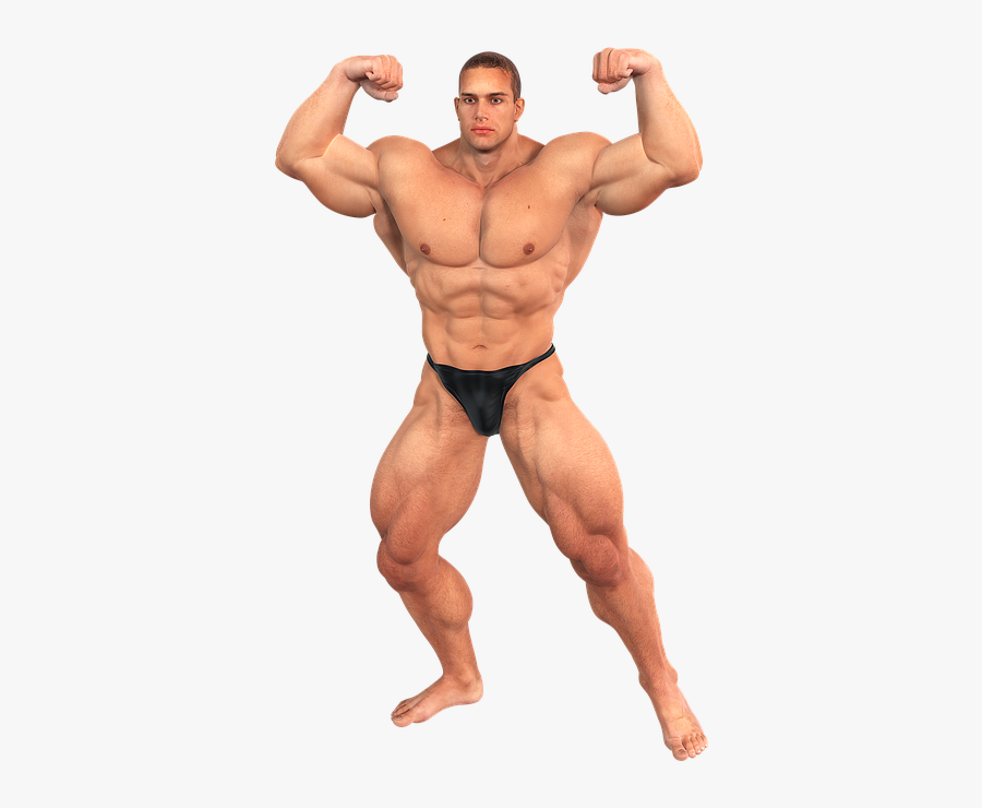 Bodybuilding Png - Body Building Male Png, Transparent Clipart