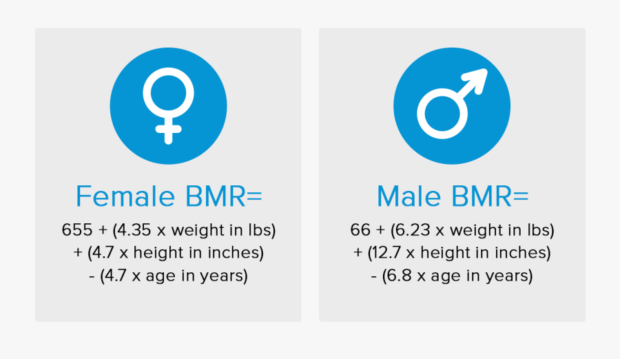 Weightloss Clip Art, Transparent Clipart