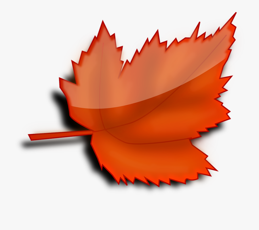 Gratis Billede P Pixabay Ahorn Efter R - Red Leaf Clipart, Transparent Clipart