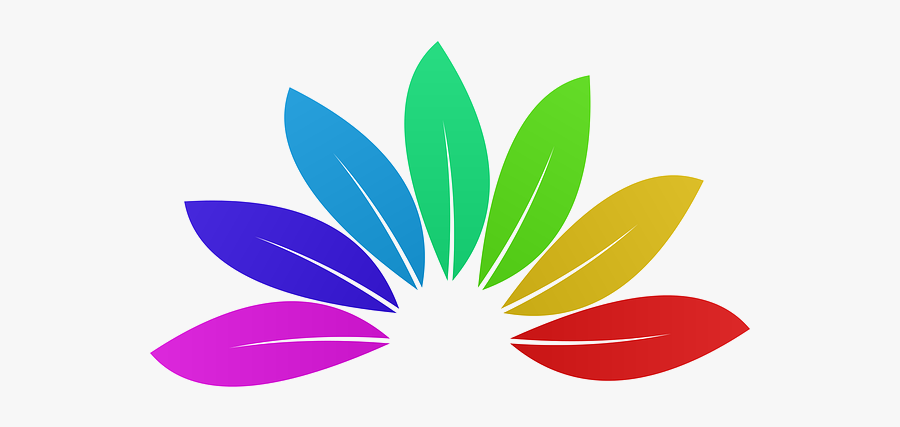 Graphic Design, Transparent Clipart