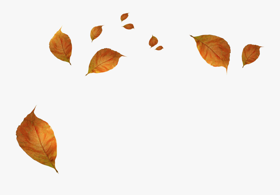 Withered Autumn Leaves Png Download - Leaves Falling Transparent Background, Transparent Clipart