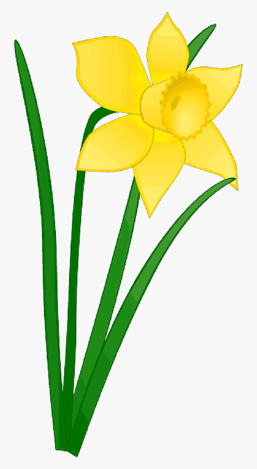 Daffodil Clipart Church Flower - Daffodil Clipart, Transparent Clipart