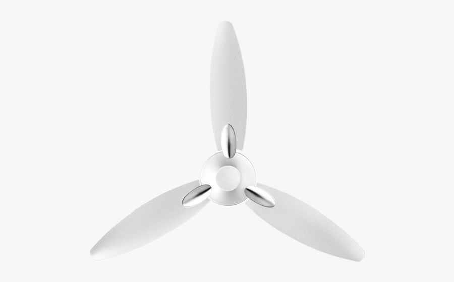 White Usha Bloom Daffodil Fan Free Transparent Clipart