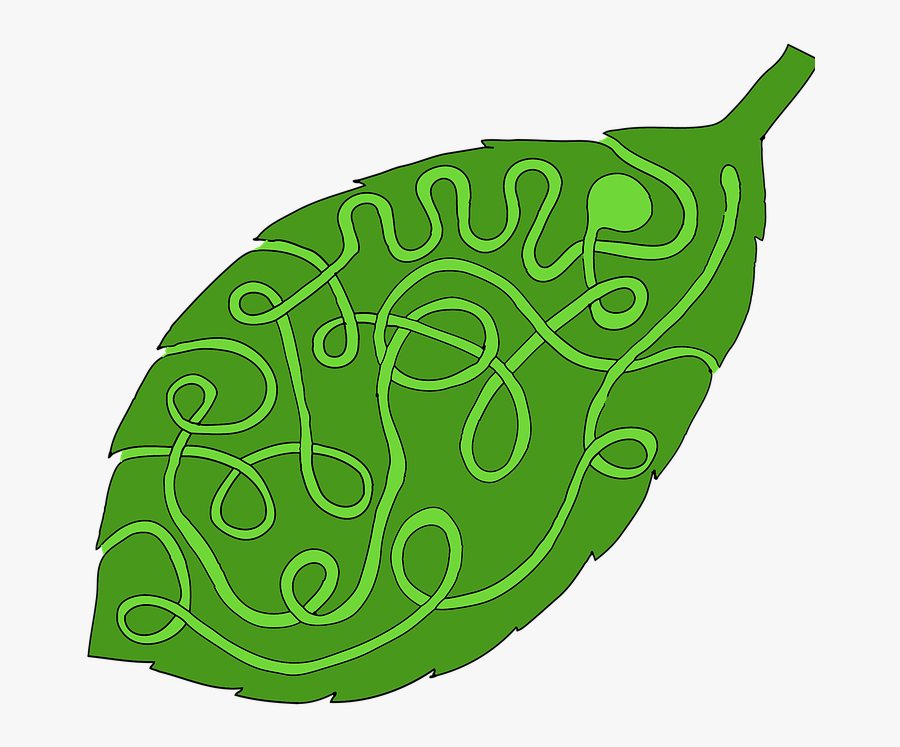 Laberinto De Hojas, Transparent Clipart