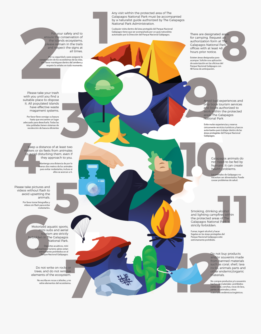 Graphic Design, Transparent Clipart