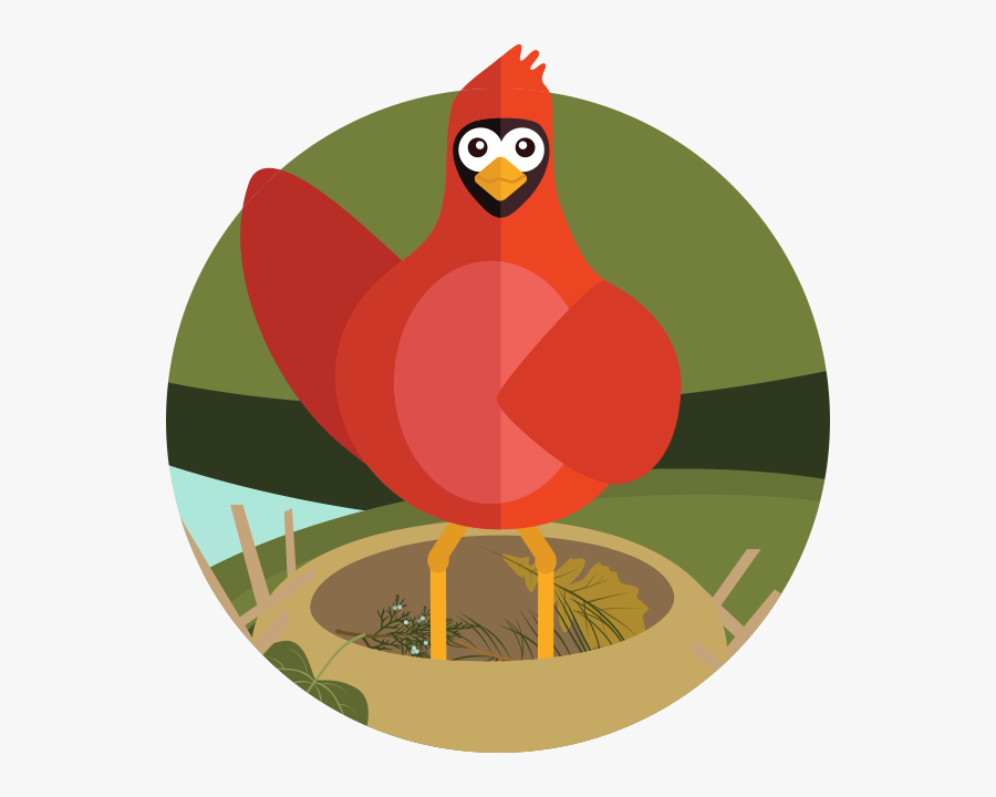 Turkey, Transparent Clipart