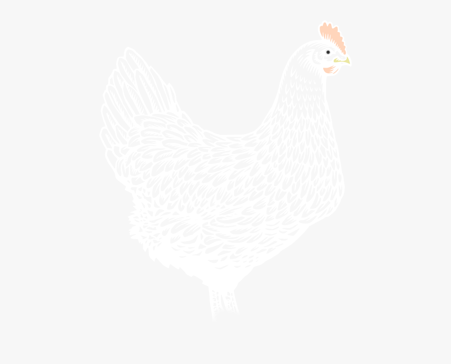 Image Of Chicken - Rooster, Transparent Clipart