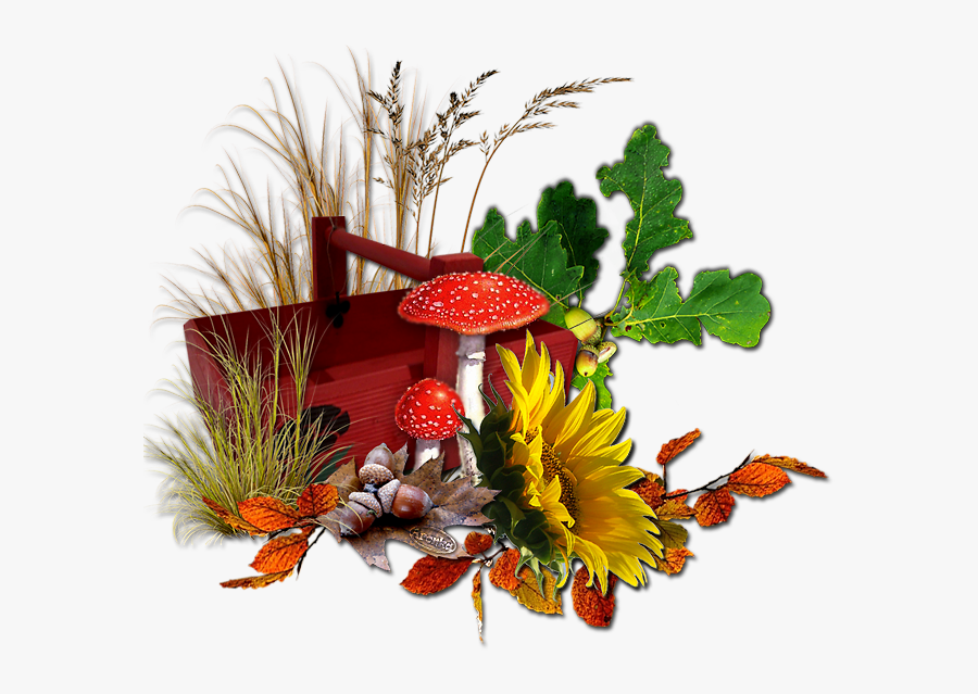 Bienvenido 01 De Septiembre 2018, Transparent Clipart