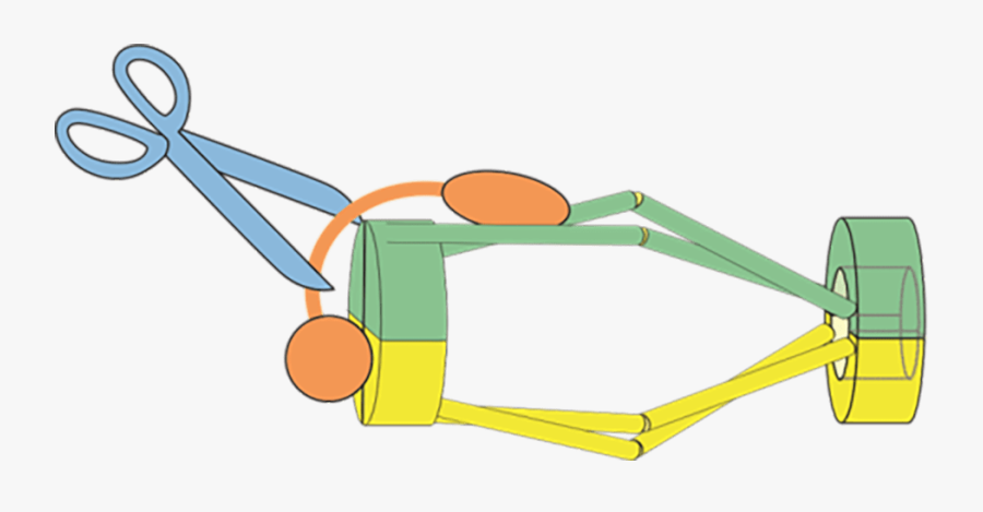 Cell Division, Transparent Clipart