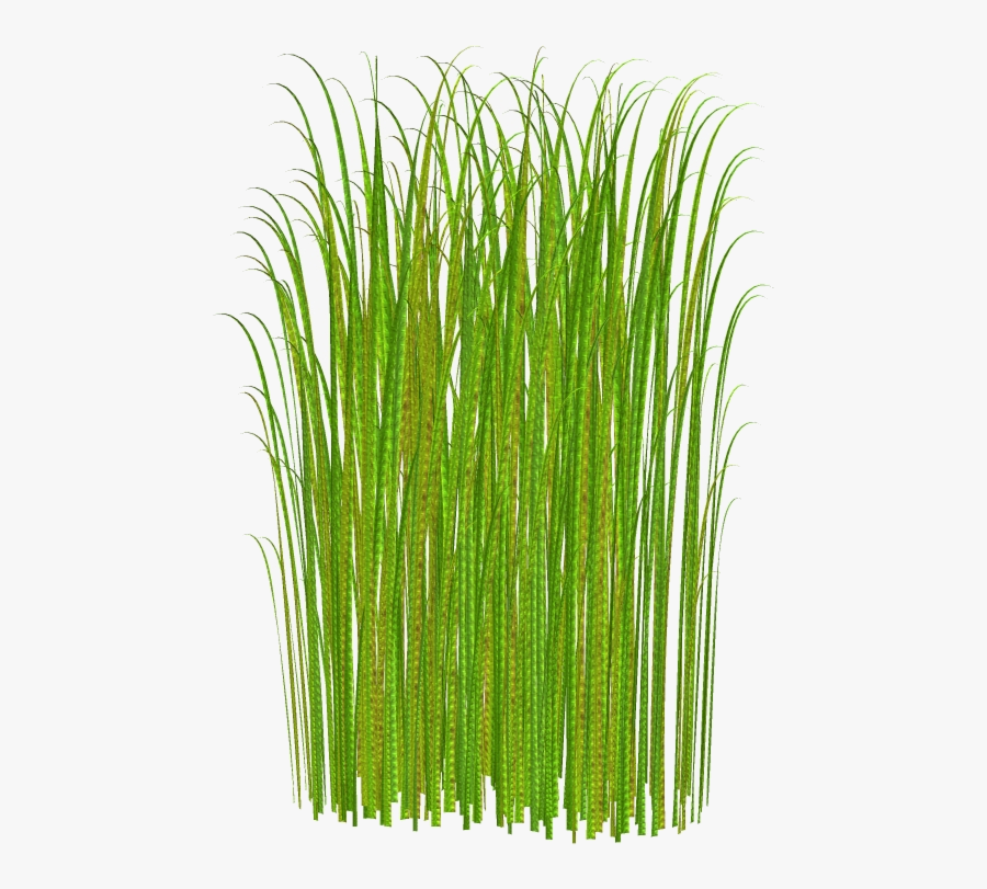 Grass Clipart Transparent Tall No Background Free Png - Grass Clipart, Transparent Clipart