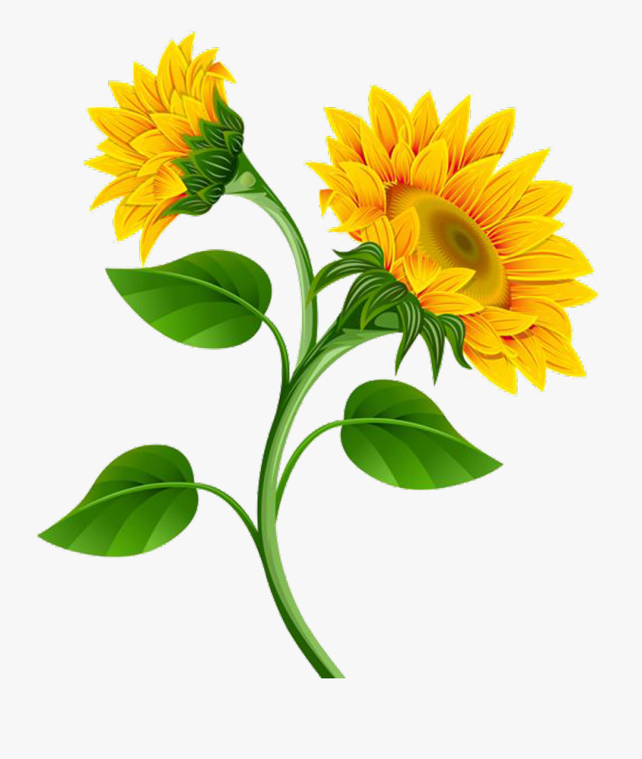 Tall Sunflower - Transparent Background Sunflower Clipart, Transparent Clipart