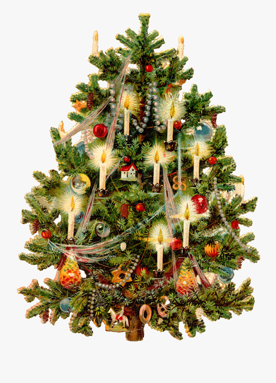 Vintage Christmas Tree Clipart, Transparent Clipart