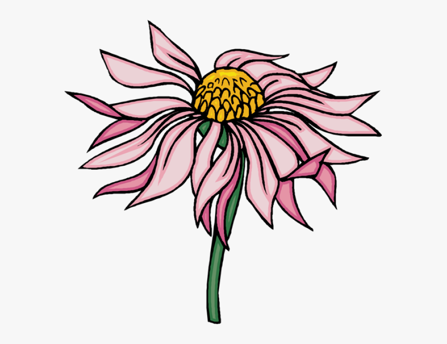 Clip Art, Transparent Clipart