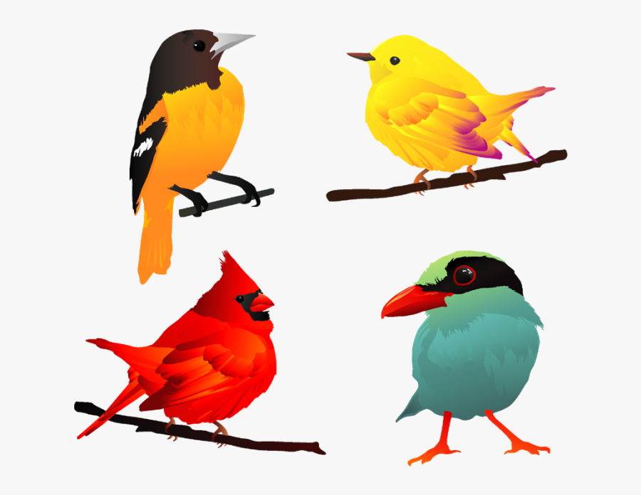 Bird 4pda. Птицы для детей. Птичка клипарт. Изображение птиц для детей. Птица мультяшная.
