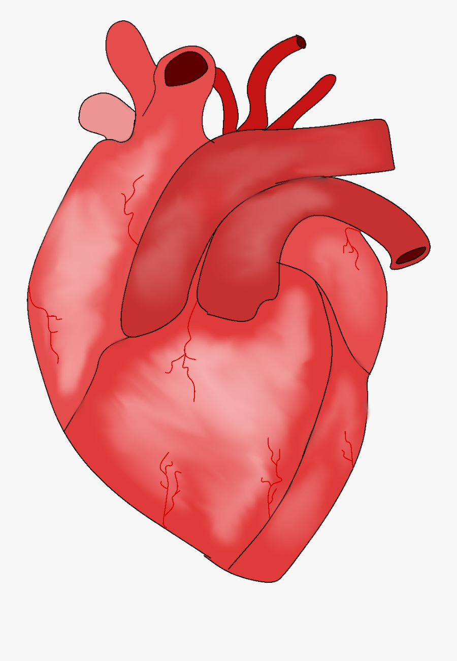 Rebecca Enright/art Editor - Illustration, Transparent Clipart