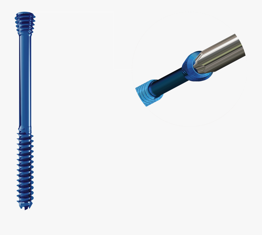 Torx Drive - Brush, Transparent Clipart