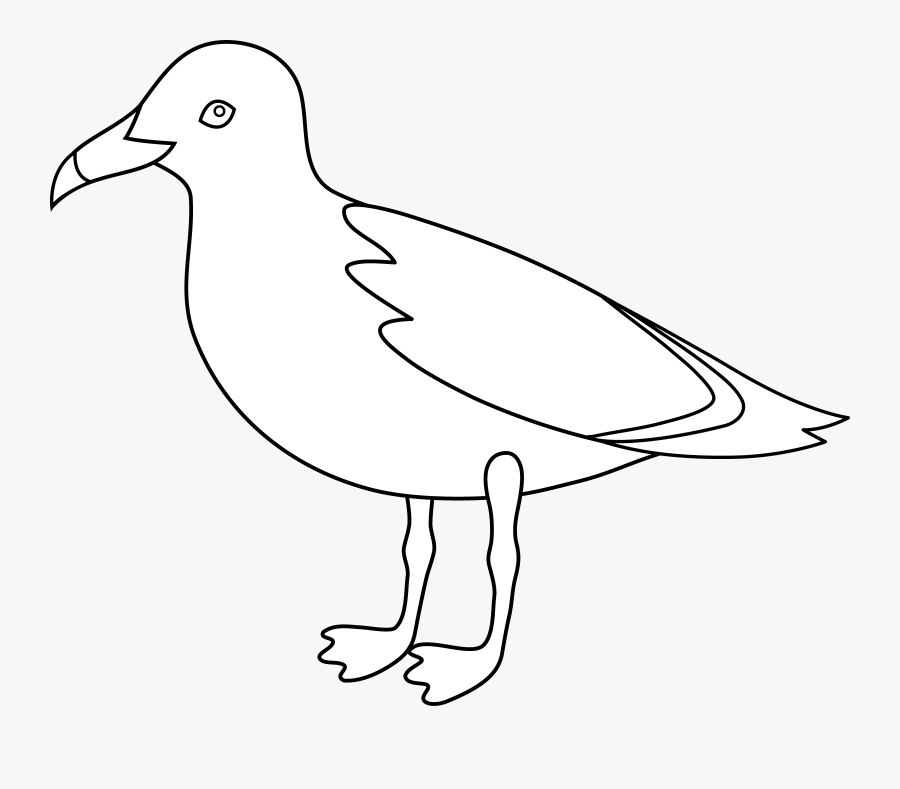 Seagull Line Art - Gull, Transparent Clipart