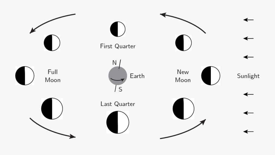 Clip Art Phases Of Moon - Different Face Of Moon, Transparent Clipart