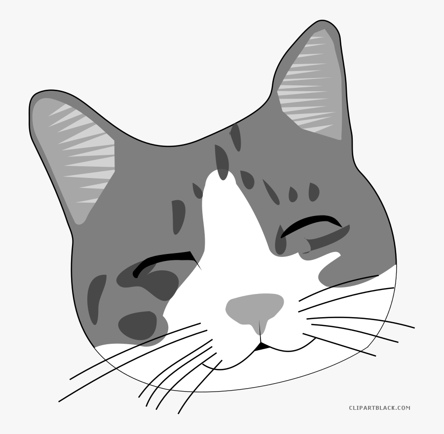Cat Face Clipart - Cat Face Png, Transparent Clipart