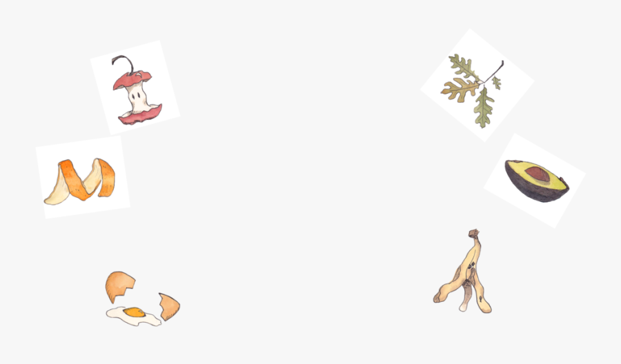 Background, Transparent Clipart