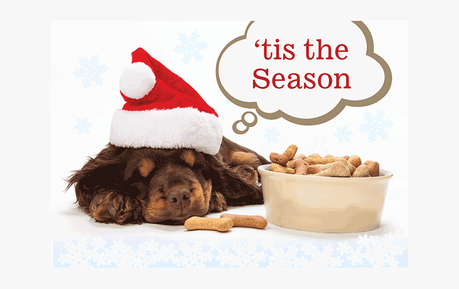 Peace & Joy Dog Bones - Puppy, Transparent Clipart