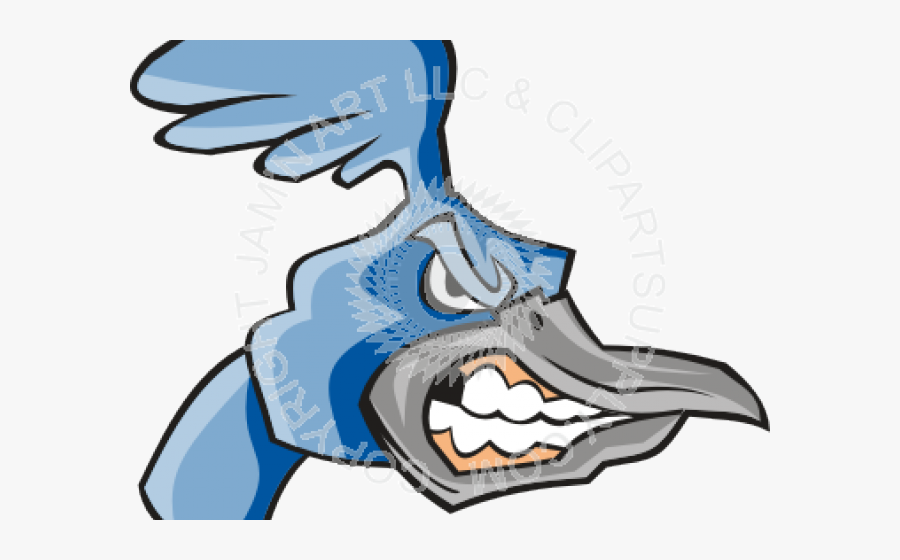 Roadrunner, Transparent Clipart