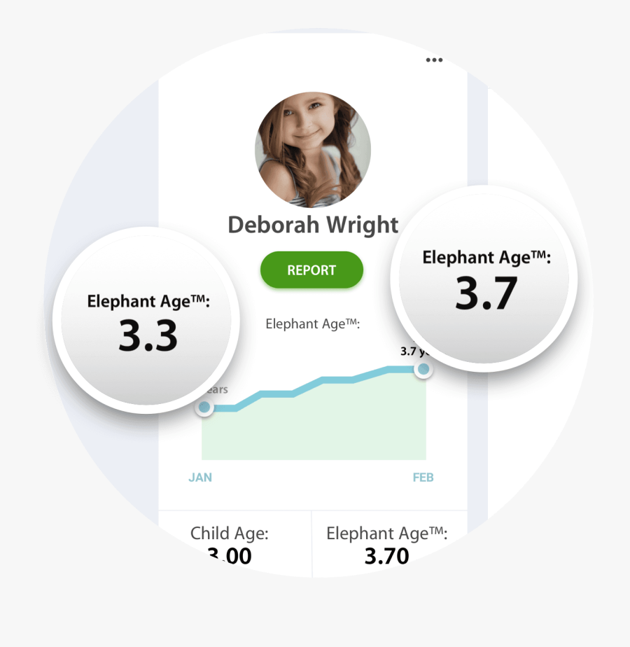 Circle, Transparent Clipart